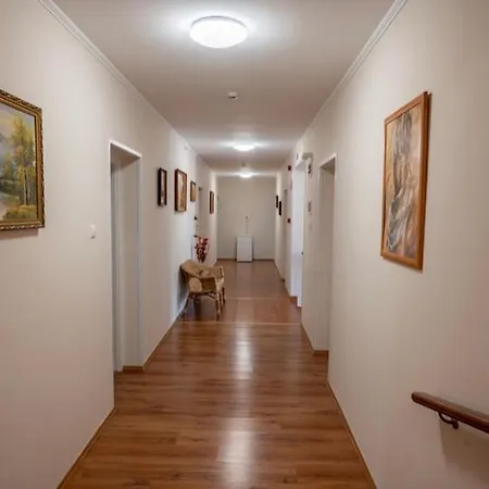Medgyaszay Panzio 3* Надьканижа